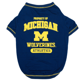 Michigan Tee Shirt (size: XS)
