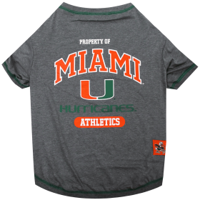 U Of Miami Tee Shirt (size: XL)