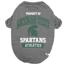 Michigan State Tee Shirt (size: LG)