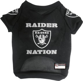 Raiders Raglan Jersey (size: MD)
