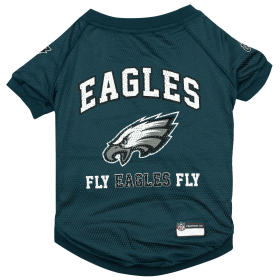 Philadelphia Eagels Raglan Jersey (size: SM)