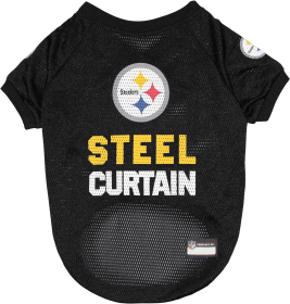Pittsburgh Steelers Raglan Jersey (size: LG)