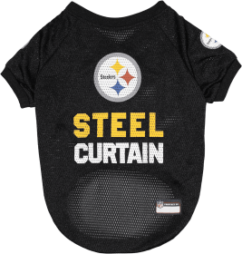 Pittsburgh Steelers Raglan Jersey (size: XS)