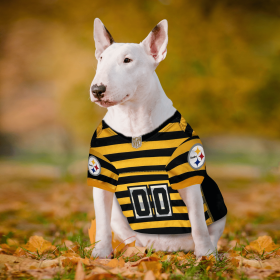 Pittsburgh Steelers Bumble Bee Throwback Jersey (size: SM)