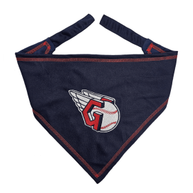 TEXAS RANGERS TIE AROUND BANDANA (size: L-XL)
