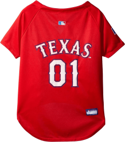 Texas Rangers Pet Jersey (size: XS)