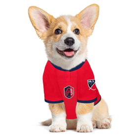 St. Louis SC Pet Jersey (size: XL)
