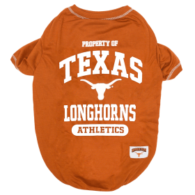 Texas Tee Shirt (size: MD)