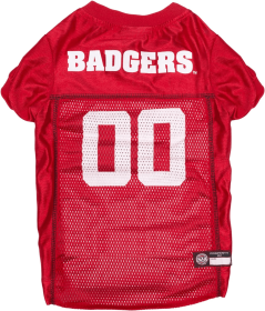 Wisconsin Pet Jersey (size: SM)