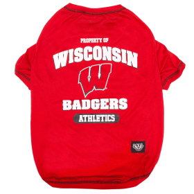 Wisconsin Tee Shirt (size: MD)