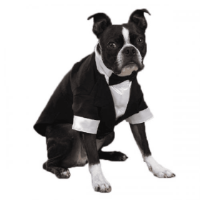 East Side Coll Yappily Ever After Groom Tux (Color: White, size: XXsmall)