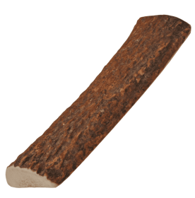 Natural Elk Antlers (size: Small Type)