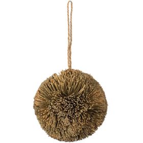 Prevue Pet Products Grassy Nibblers (Option: Activity Ball - 1090)