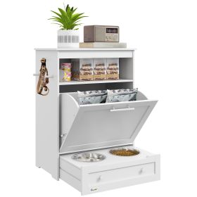 PawHut Pet (Option: Feeder Station With Storage, Dog Food Storage Container With 2 Raised Dog Bowls, White)