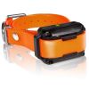 IQ Dog Training collar